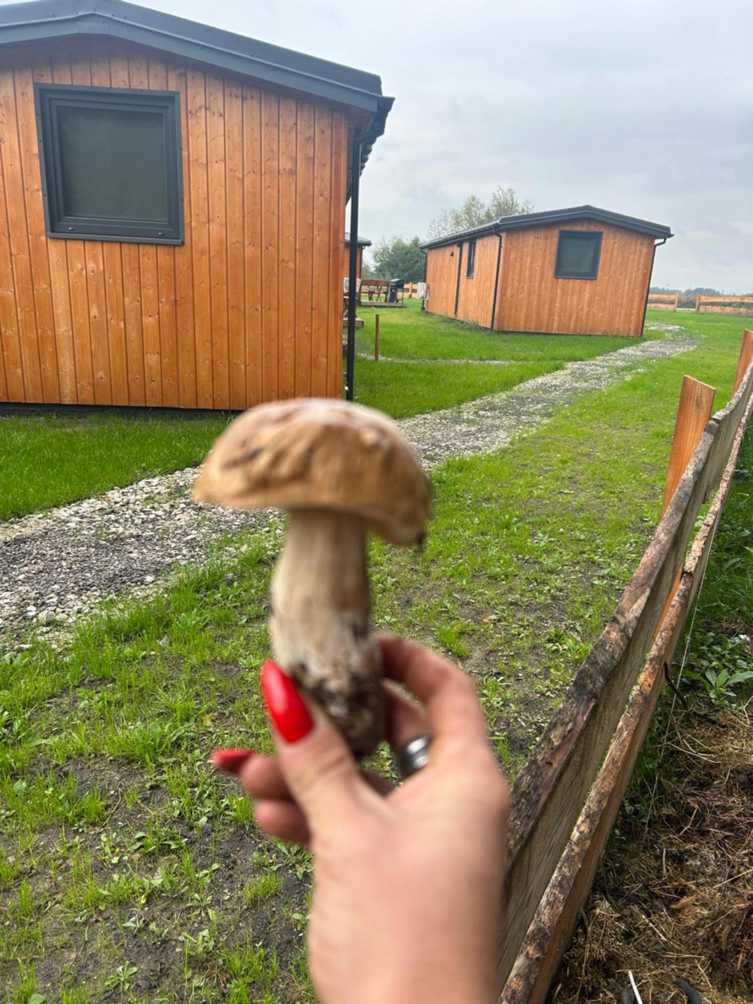 Zacisze Obok Suntago Park Hotel Grabce-Towarzystwo Exterior foto